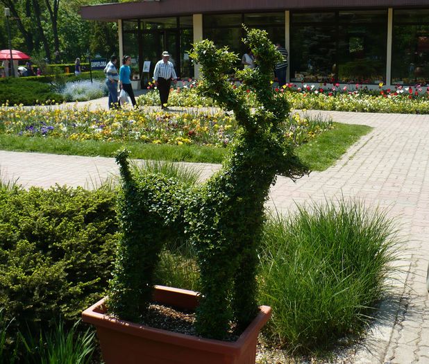 P1250728