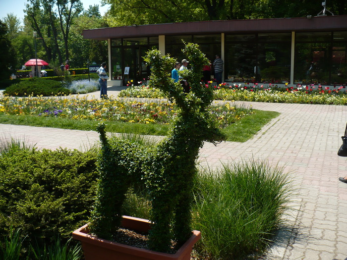P1250729