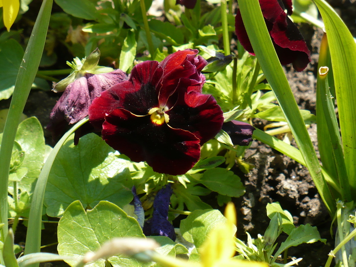 P1250740