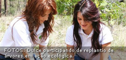 destaque2