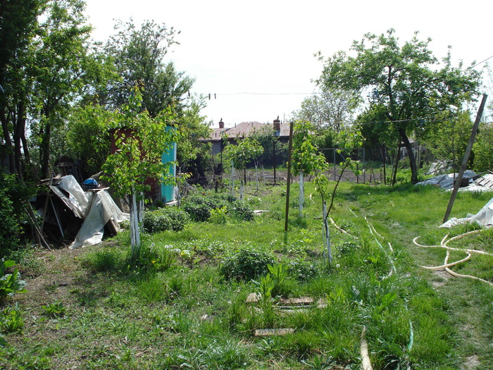 GRADINA - LA MAMA- 2010