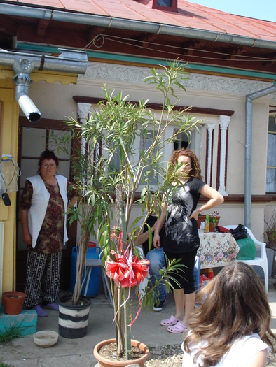 MAMA SI CLAUDIA - LA MAMA- 2010