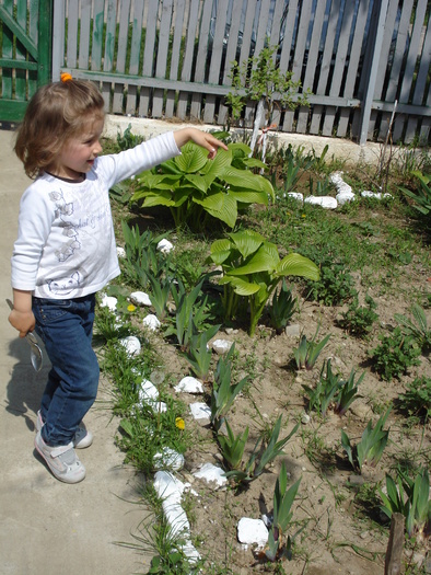 AICI ESTE GRADINA MEA!!