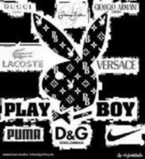 playboy