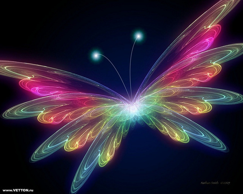 cool fluture - Imagini cool