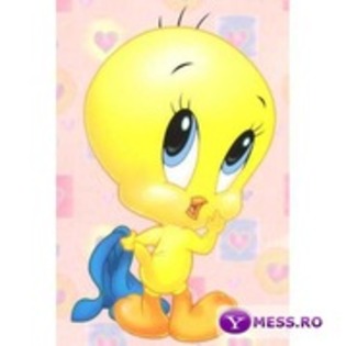 tweety - xXxTweetyxXx