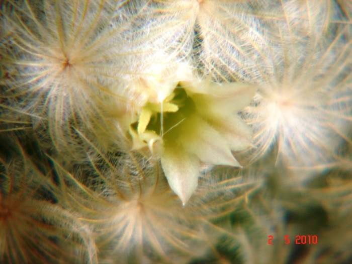 DSC07971