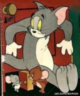 68