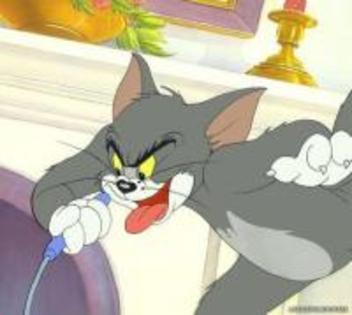 74