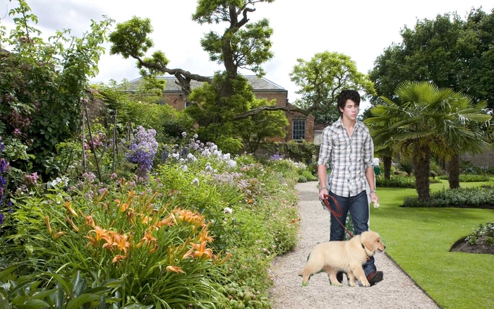 garden-flowers-chalke-abbey