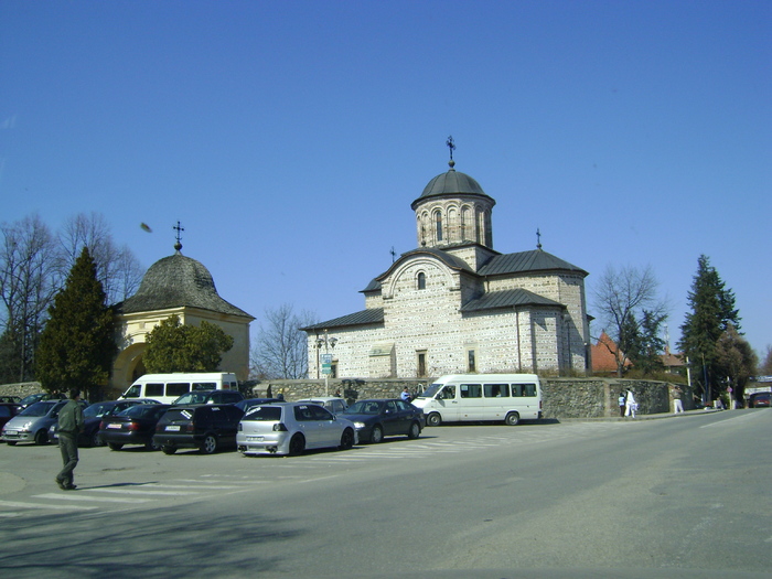 DSC01655 - CURTEA DE ARGES