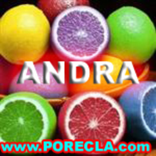 516-ANDRA%20lamaia%20(Custom)