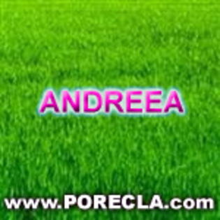 518-ANDREEA%20avatare%20iarba%20verde