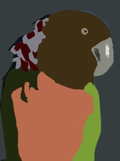 Papagal - Desene de mine cu animale la calculator facute pe conturul imaginii
