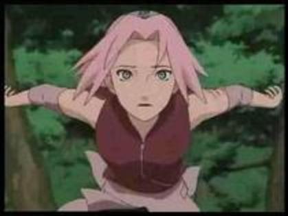 13802488_NIRBIOZRM - Sakura Haruno nu ma pot abtine sa nu o ador