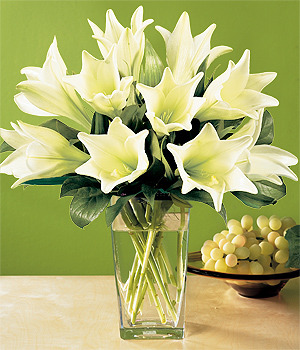 big_73_11 crini albi - floarea mea preferata