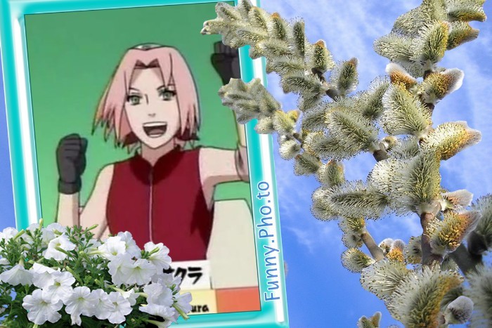 A4243F77-D9DE-4570-8422-53D7069BBCB0 - Sakura Haruno nu ma pot abtine sa nu o ador