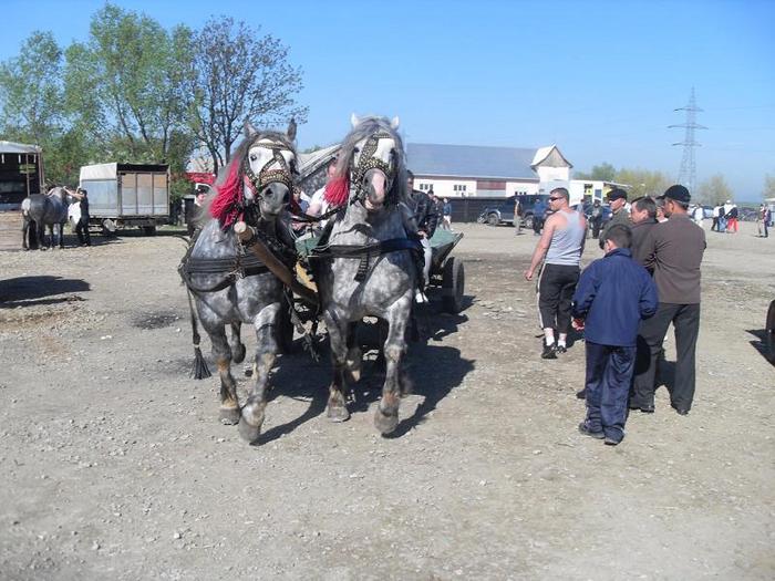 SDC11162 - Radauti  2010
