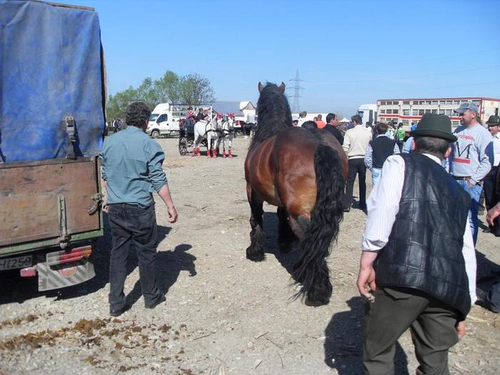 SDC11168 - Radauti  2010