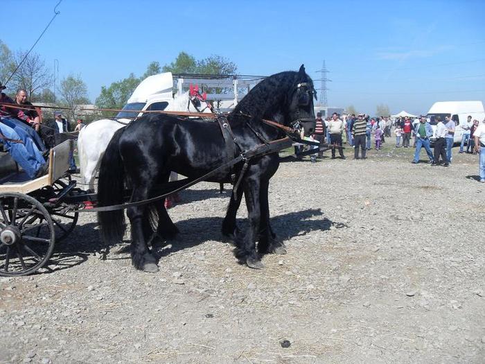 SDC11200 - Radauti  2010
