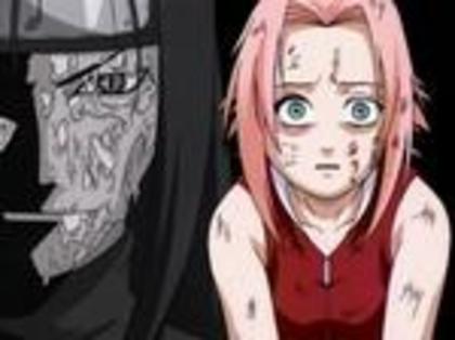 379583-naruto_sakura0071_thumb - Sakura Haruno nu ma pot abtine sa nu o ador