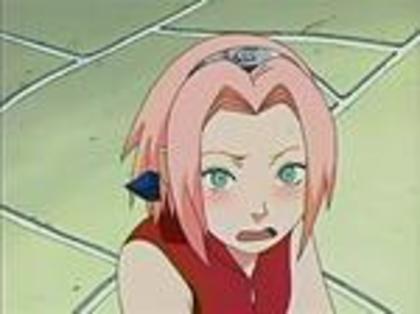 379661-naruto_sakura0100_thumb - Sakura Haruno nu ma pot abtine sa nu o ador