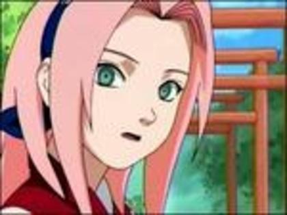 379754-naruto_sakura0558_thumb - Sakura Haruno nu ma pot abtine sa nu o ador