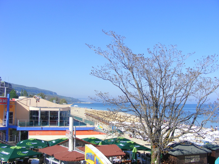 298 - Bulgaria