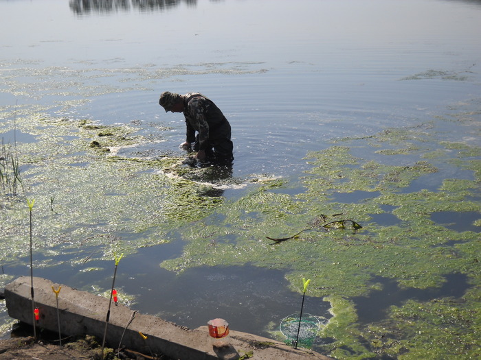 lucru este pana dincolo de lac