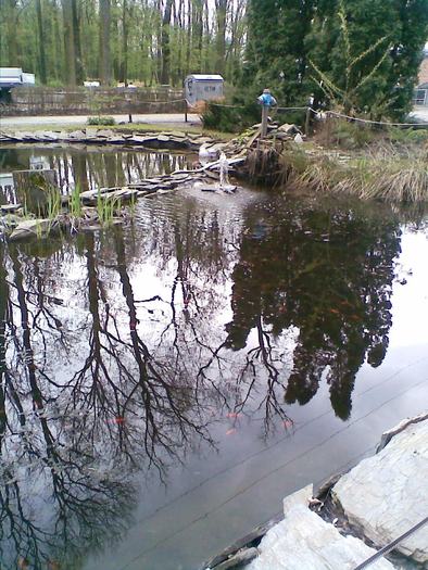 Lacri066 - Gradina zoologica timisoara 2010