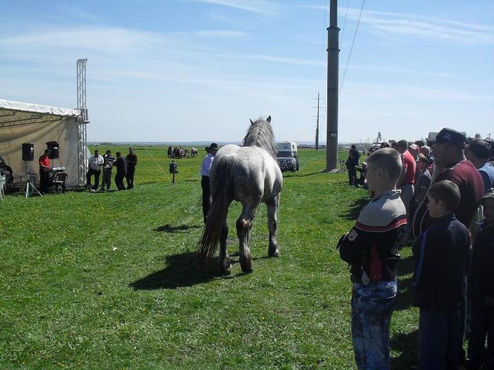 SDC11853 - expo RADAUTZI