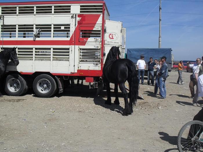 SDC11871 - expo RADAUTZI