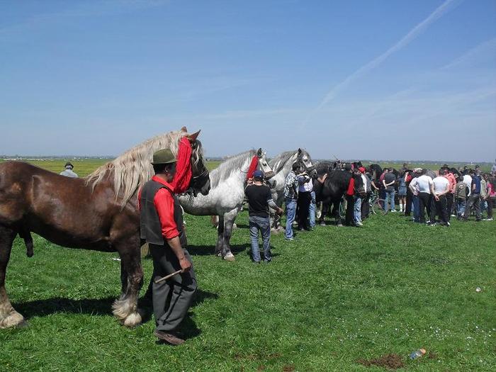 SDC11889 - expo RADAUTZI