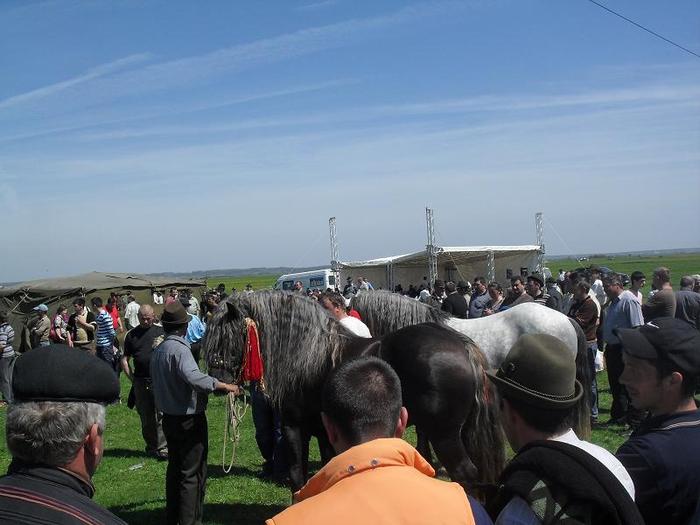 SDC11890 - expo RADAUTZI
