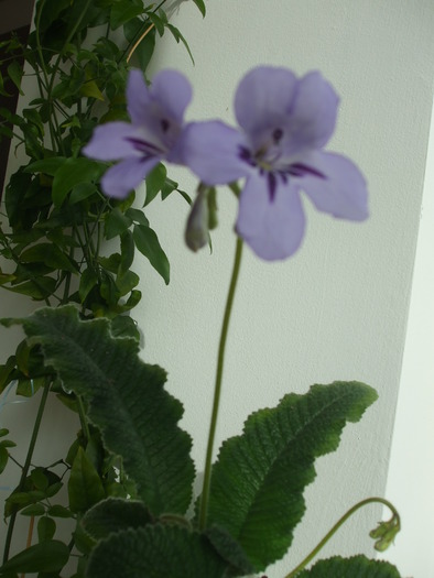 DSCF7148