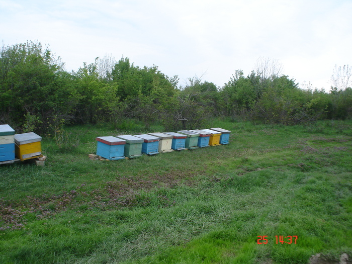 DSC00067