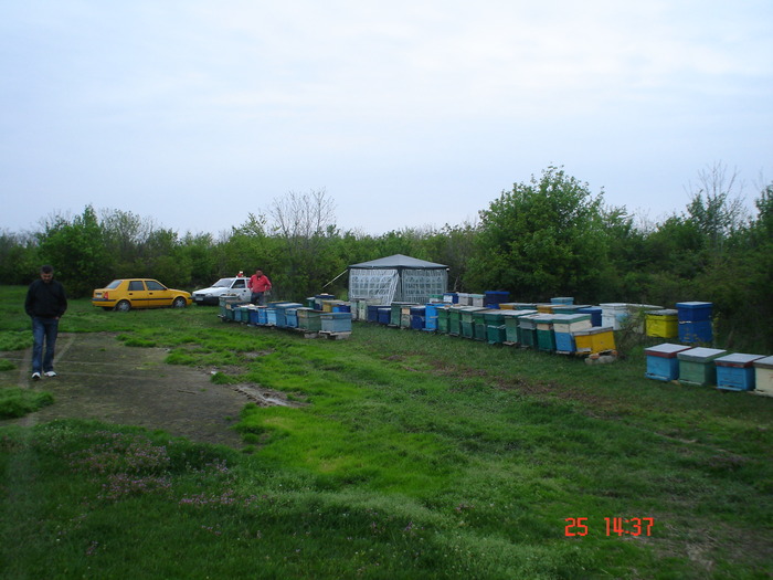 DSC00070