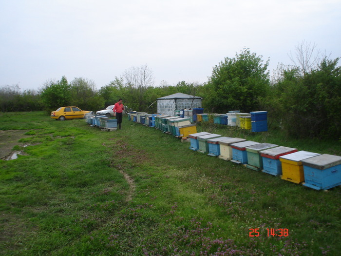 DSC00072