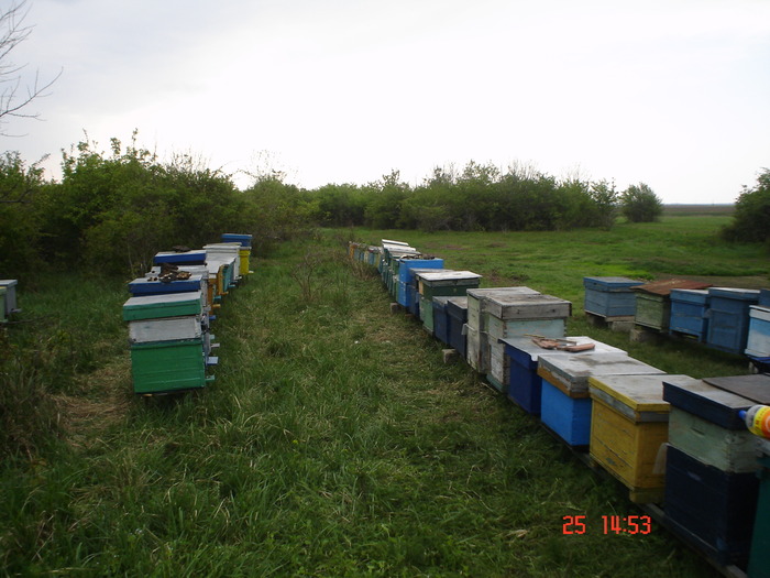 DSC00074
