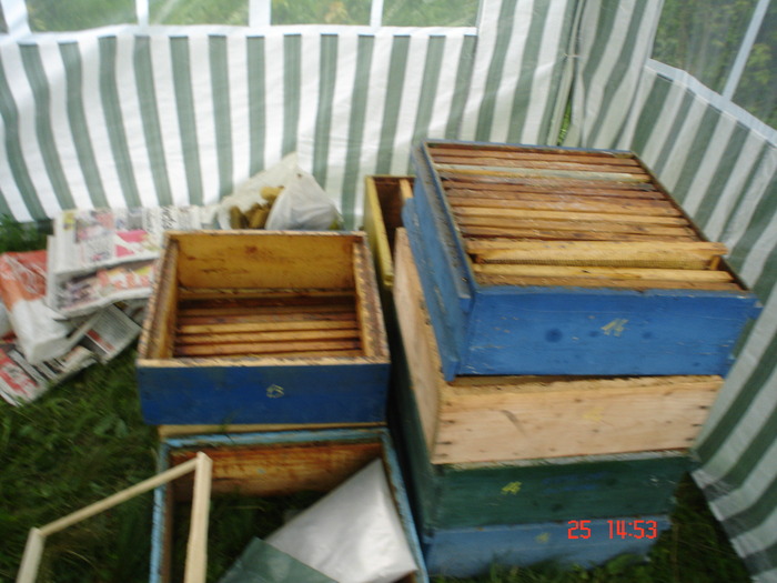 DSC00078