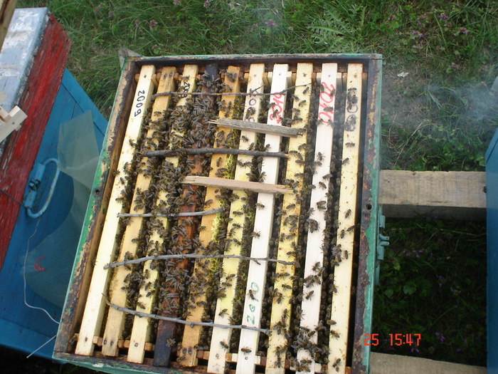 DSC00092