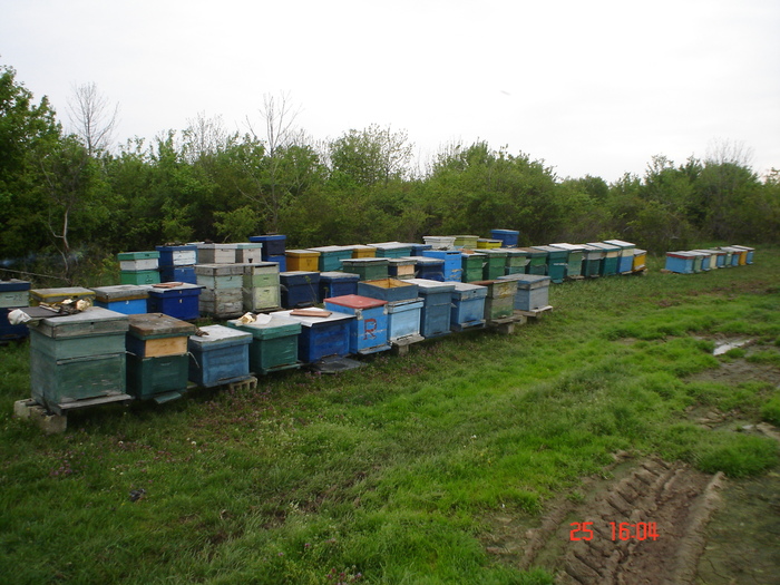 DSC00095