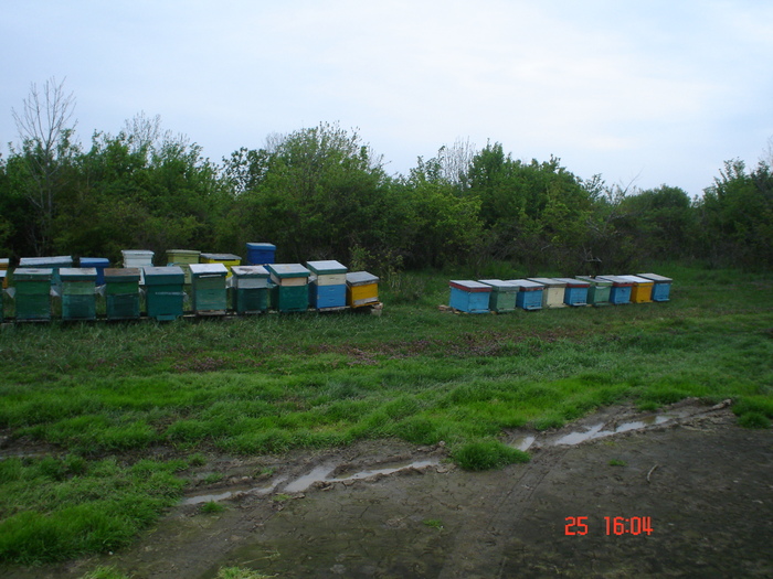 DSC00096