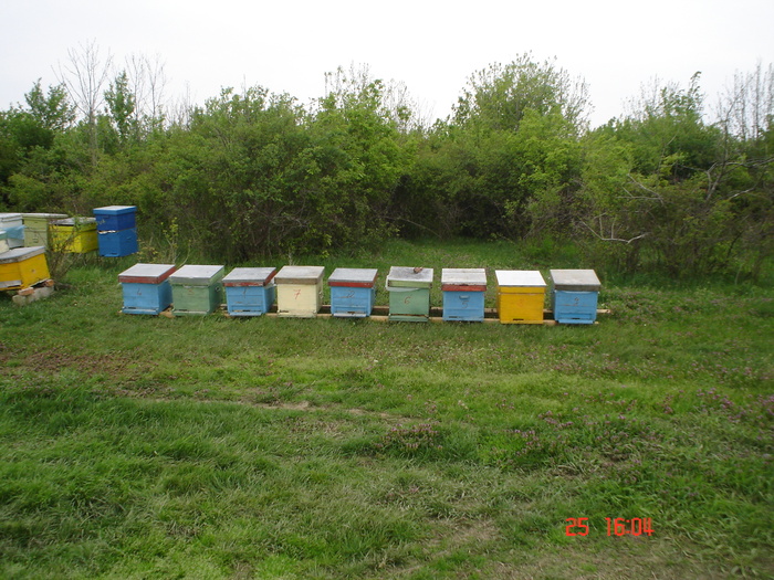DSC00098