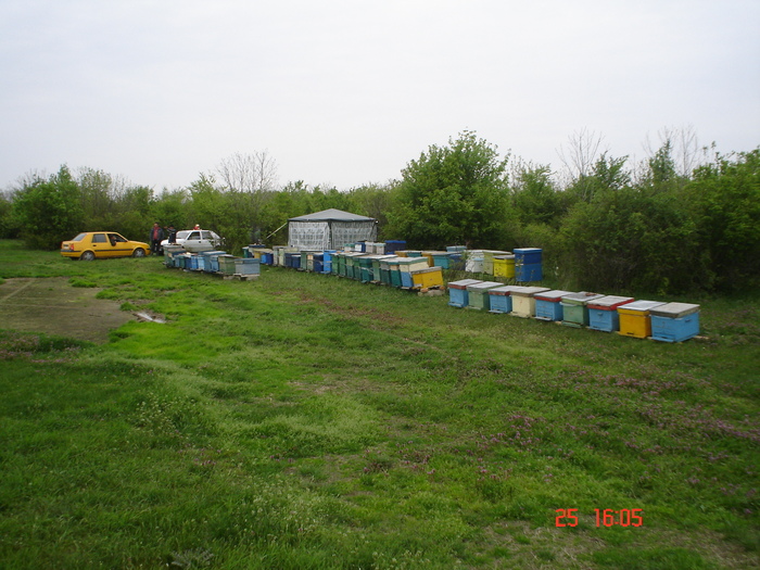 DSC00099