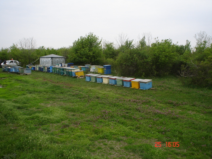 DSC00100