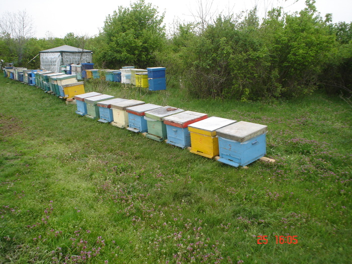 DSC00101