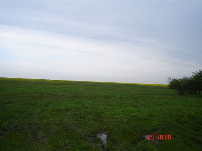 DSC00102