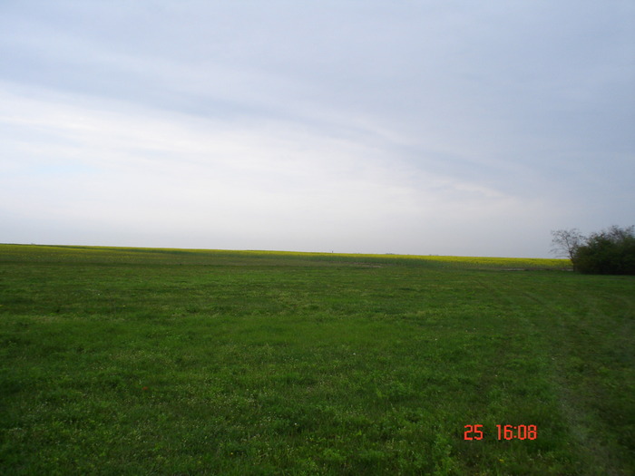 DSC00103