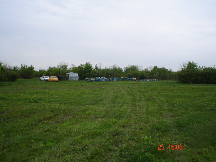 DSC00104